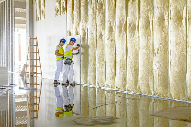 Best DIY Insulation Kits and Guidance in Fort Shawnee, OH